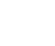 Retail Automotive Sales and/or F&I experience is a plus, but not required. Sales experience outside the retail automotive field can also provide a strong base for success.